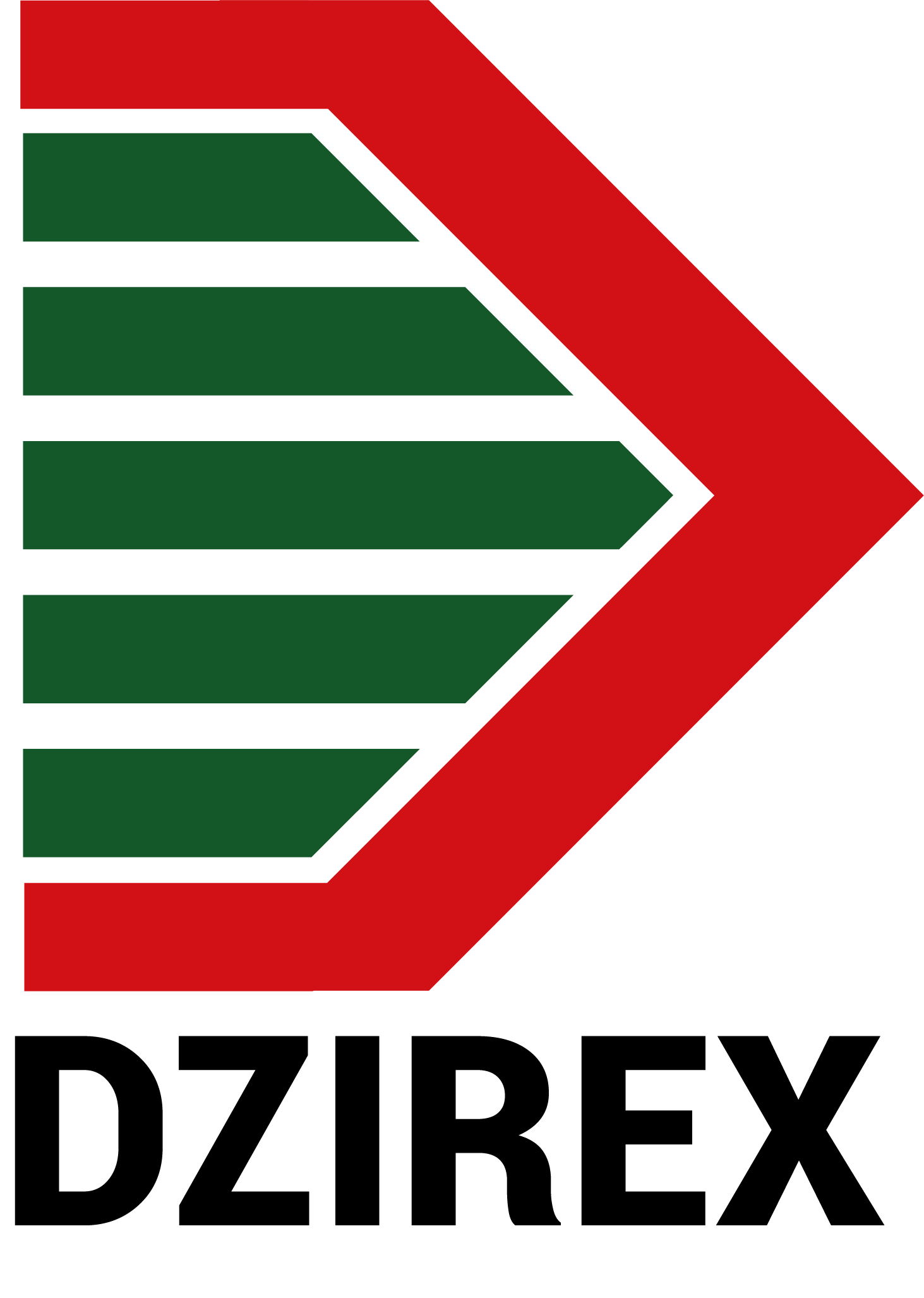 site officiel de la société DZIREX